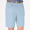 Sky Cotton Pleated Shorts