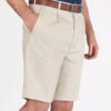 Stone Cotton Pleated Shorts
