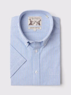 Blue Stripe Short Sleeve Button Down Oxford Shirt